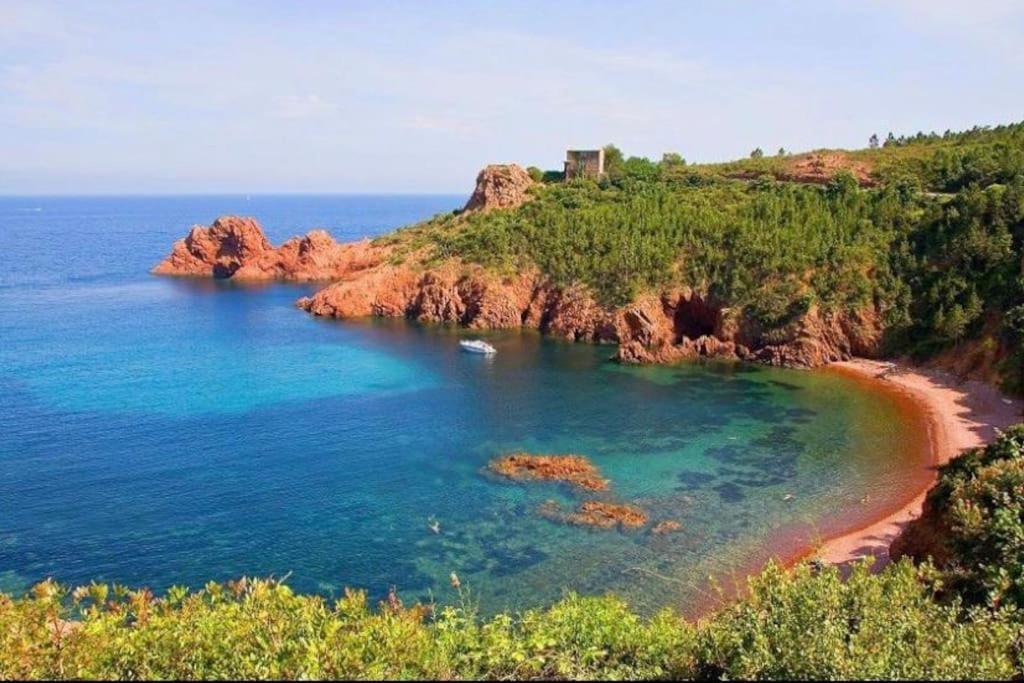Chaleureux Appartement Face Au Port Sta Lucia, Tout A Pieds, Wifi Saint-Raphaël Eksteriør bilde